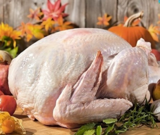 Dinde fermière Challans LR 